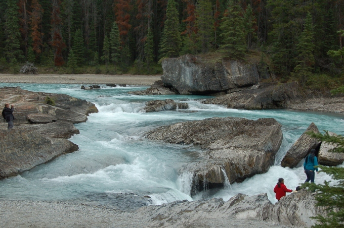 Natural Bridge in B.C.'s Yoho Natl Forest